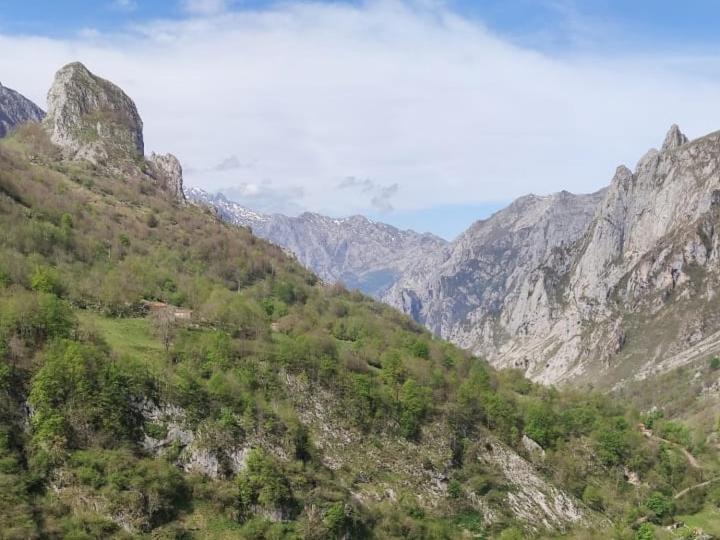 La Casina De Tielve De Cabrales Dentro Del Parque Nacional Picos De Europa 빌라 외부 사진